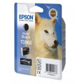 Epson T09684010