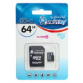 SB64GBSDCL10-01