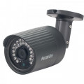 Falcon Eye FE-IPC-BL100P цветная