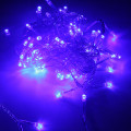 Гирлянда Sh Lights 100 синих светодиодов, синий провод, ILD100C-BB