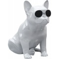 AEROSYSTEM Aerobull XS1