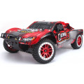 Remo Hobby RH1025