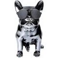 AEROSYSTEM Aerobull XS1