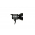 FST EF-50 Sun Light 5500K
