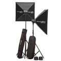 Комплект импульсного света Elinchrom D-Lite RX ONE Softbox Set Комплект импульсного света Elinchrom D-Lite RX ONE Softbox Set