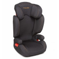 Capella S2311i