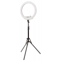 Raylab RL-0618 + folded lightstand + mirror