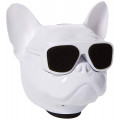 AEROSYSTEM Aerobull NANO