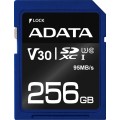 ASDX256GUI3CL10-R