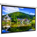 Projecta ProScreen 179x280см (125")
