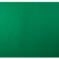Фотофон Lumifor LBGN-1520 Green 150х200см нетканый зеленый
