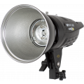 Импульсный моноблок Raylab Axio III RX-400