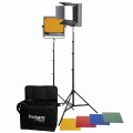 Комплект импульсного света Rekam SlimLight CF-250 Passport Kit Комплект импульсного света Rekam SlimLight CF-250 Passport Kit