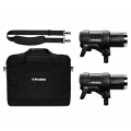 Комплект импульсного света Profoto D2 500/500 AirTTL kit без Air Remote