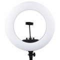 Raylab RL-0618 + folded lightstand + mirror