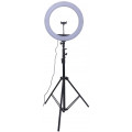 Raylab RL-0618 + folded lightstand + mirror