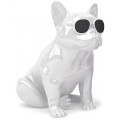 AEROSYSTEM Aerobull HD1