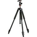VANGUARD Abeo 243AB