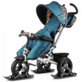 Small Rider Discovery CR - утепленный вездеходный велосипедPlus с лыжами (зеленый цветочек)