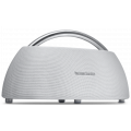 Harman Kardon Go play MINI