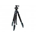 Benro A-350EX/BH-1
