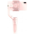 Feiyu Vimble 2