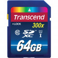 TS64GSDU1
