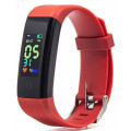 Smarterra FitMaster 4