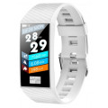 Smarterra Fitmaster Pulsar