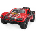 Remo Hobby RH1621