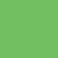 Фон бумажный Savage 46-1253 WIDETONE TECH GREEN Хромакей Зеленый 1,35х11м