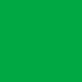 Фон бумажный Polaroid Green хромакей зеленый 2.72x11 м Фон бумажный Polaroid Green хромакей зеленый 2.72x11 м