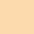 Фон бумажный Savage 25-12 WIDETONE BEIGE Бежевый 2,72x11м