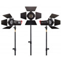 LS-mini 20 flight kit(ddc)
