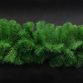 Еловая гирлянда-лапа, 250*36см, 180 веток, YS250G180T