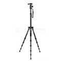 Штатив GreenBean PhotoMaster 416BH алюминиевый сплав (с головой) Штатив GreenBean PhotoMaster 416BH алюминиевый сплав (с головой)