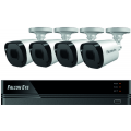 Комплект видеонаблюдения Falcon Eye FE-2104MHD Smart