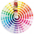 Pantone Formula Guide Solid Coated & Solid Uncoated